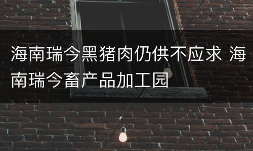 海南瑞今黑猪肉仍供不应求 海南瑞今畜产品加工园