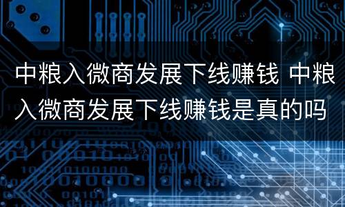 中粮入微商发展下线赚钱 中粮入微商发展下线赚钱是真的吗