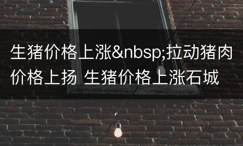 生猪价格上涨&nbsp;拉动猪肉价格上扬 生猪价格上涨石城