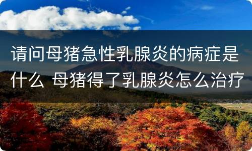 请问母猪急性乳腺炎的病症是什么 母猪得了乳腺炎怎么治疗