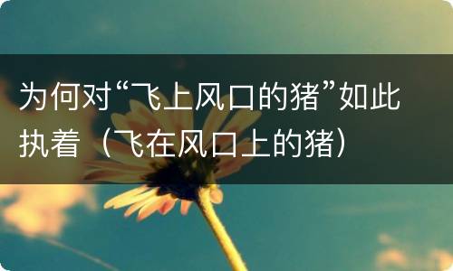 为何对“飞上风口的猪”如此执着（飞在风口上的猪）