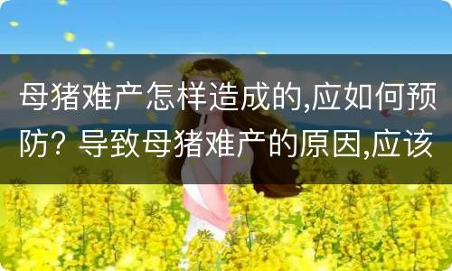 母猪难产怎样造成的,应如何预防? 导致母猪难产的原因,应该怎么预防?