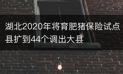 湖北2020年将育肥猪保险试点县扩到44个调出大县