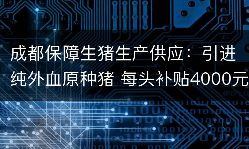 成都保障生猪生产供应：引进纯外血原种猪 每头补贴4000元