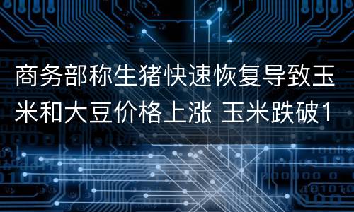 商务部称生猪快速恢复导致玉米和大豆价格上涨 玉米跌破1.5元/斤