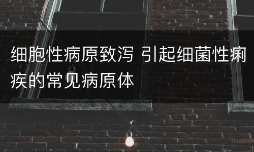 细胞性病原致泻 引起细菌性痢疾的常见病原体