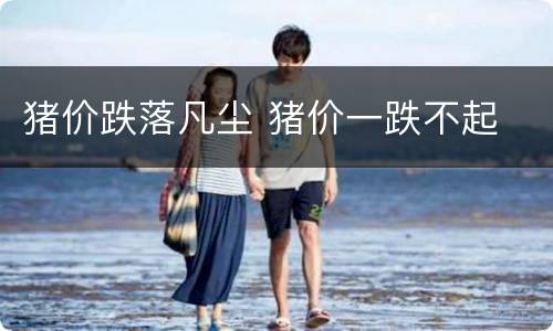 猪价跌落凡尘 猪价一跌不起