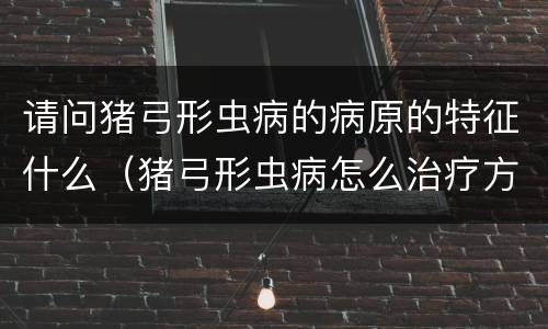 请问猪弓形虫病的病原的特征什么（猪弓形虫病怎么治疗方法）
