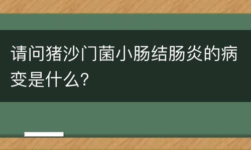 请问猪沙门菌小肠结肠炎的病变是什么？
