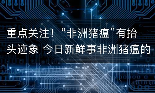 重点关注！“非洲猪瘟”有抬头迹象 今日新鲜事非洲猪瘟的症状