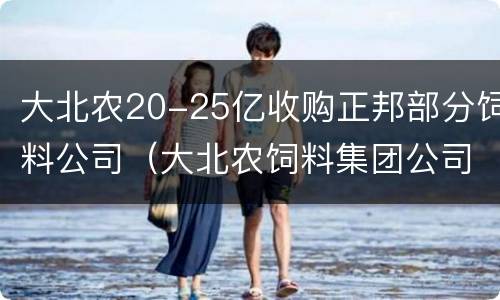 大北农20-25亿收购正邦部分饲料公司（大北农饲料集团公司）