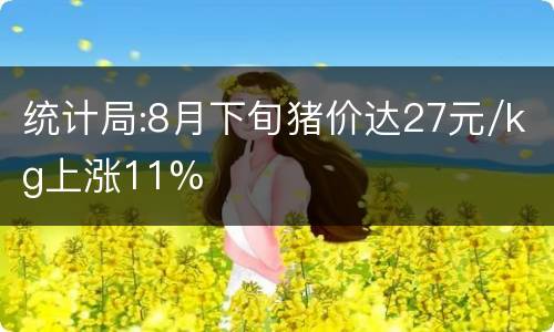 统计局:8月下旬猪价达27元/kg上涨11%