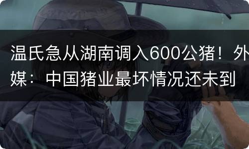 温氏急从湖南调入600公猪！外媒：中国猪业最坏情况还未到来