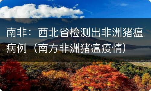 南非：西北省检测出非洲猪瘟病例（南方非洲猪瘟疫情）