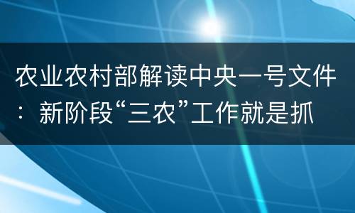 农业农村部解读中央一号文件：新阶段“三农”工作就是抓乡村振兴