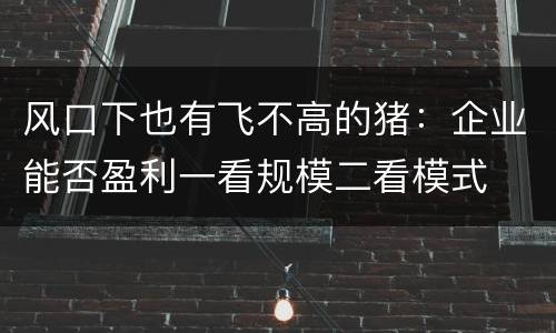 风口下也有飞不高的猪：企业能否盈利一看规模二看模式