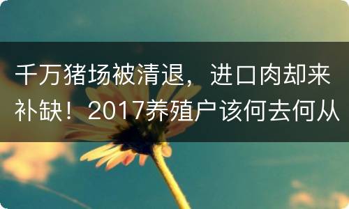 千万猪场被清退，进口肉却来补缺！2017养殖户该何去何从？
