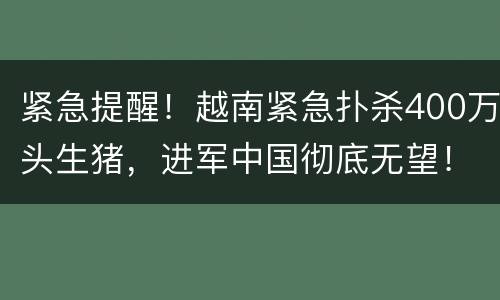 紧急提醒！越南紧急扑杀400万头生猪，进军中国彻底无望！
