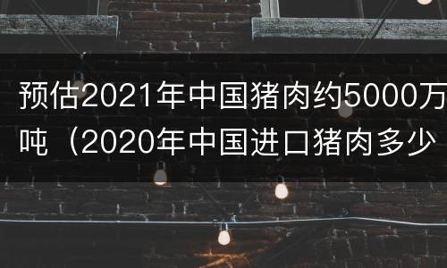预估2021年中国猪肉约5000万吨（2020年中国进口猪肉多少吨）