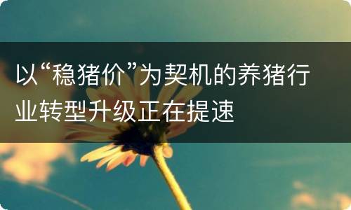 以“稳猪价”为契机的养猪行业转型升级正在提速