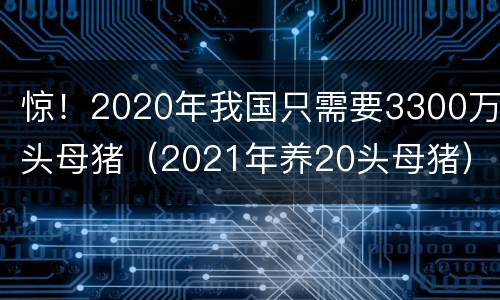 惊！2020年我国只需要3300万头母猪（2021年养20头母猪）
