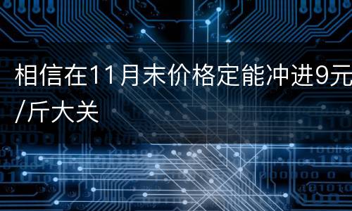 相信在11月末价格定能冲进9元/斤大关