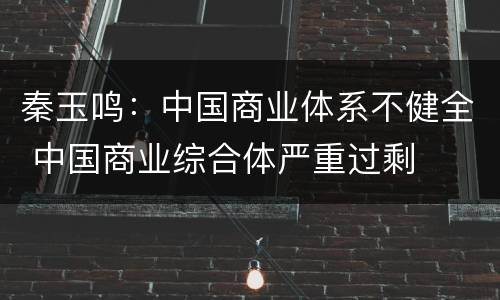 秦玉鸣：中国商业体系不健全 中国商业综合体严重过剩