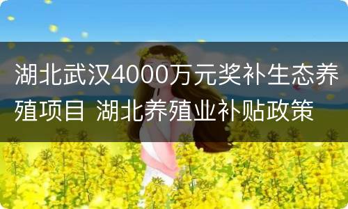湖北武汉4000万元奖补生态养殖项目 湖北养殖业补贴政策