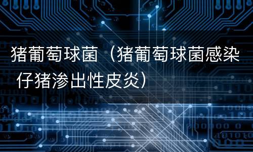 猪葡萄球菌（猪葡萄球菌感染 仔猪渗出性皮炎）