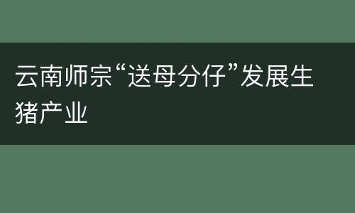 云南师宗“送母分仔”发展生猪产业