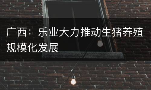 广西：乐业大力推动生猪养殖规模化发展