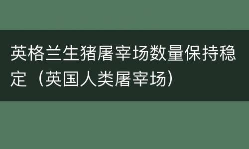 英格兰生猪屠宰场数量保持稳定（英国人类屠宰场）
