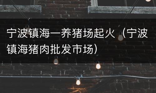宁波镇海一养猪场起火（宁波镇海猪肉批发市场）