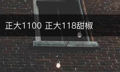 正大1100 正大118甜椒