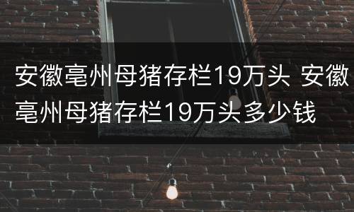 安徽亳州母猪存栏19万头 安徽亳州母猪存栏19万头多少钱