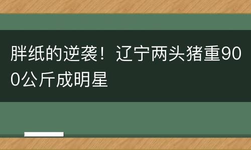 胖纸的逆袭！辽宁两头猪重900公斤成明星
