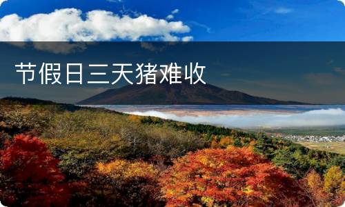 节假日三天猪难收