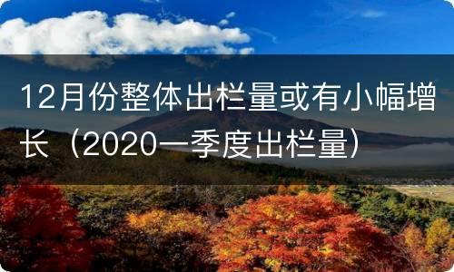 12月份整体出栏量或有小幅增长（2020一季度出栏量）
