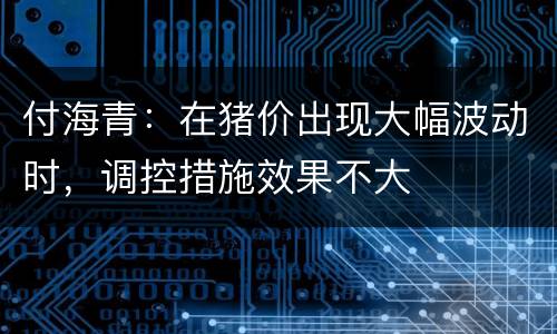 付海青：在猪价出现大幅波动时，调控措施效果不大