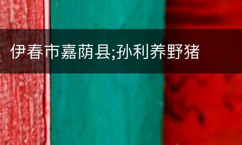 伊春市嘉荫县;孙利养野猪