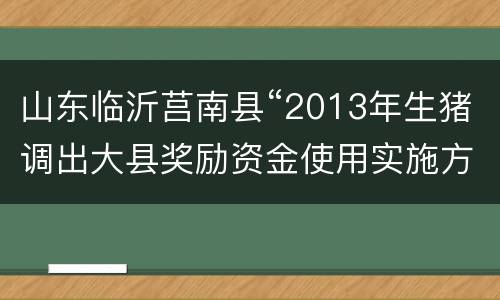 山东临沂莒南县“2013年生猪调出大县奖励资金使用实施方案”