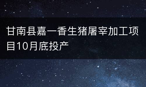 甘南县嘉一香生猪屠宰加工项目10月底投产
