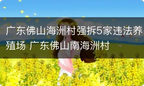 广东佛山海洲村强拆5家违法养殖场 广东佛山南海洲村