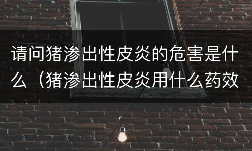 请问猪渗出性皮炎的危害是什么（猪渗出性皮炎用什么药效果好）