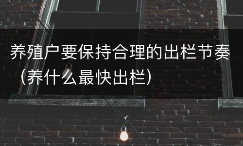 养殖户要保持合理的出栏节奏（养什么最快出栏）