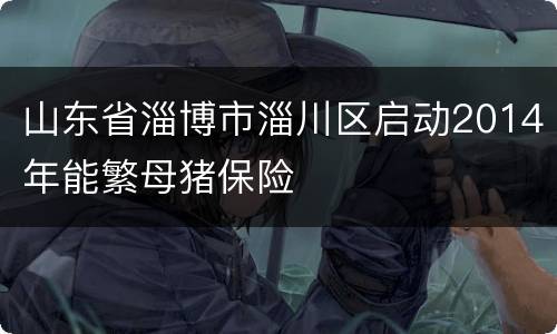山东省淄博市淄川区启动2014年能繁母猪保险