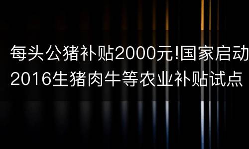 每头公猪补贴2000元!国家启动2016生猪肉牛等农业补贴试点