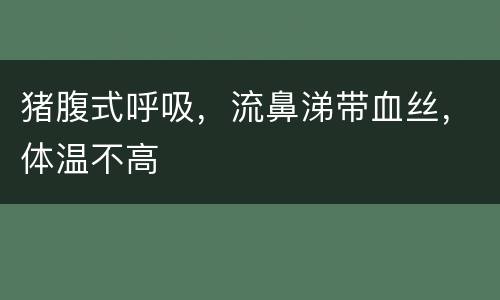 猪腹式呼吸，流鼻涕带血丝，体温不高