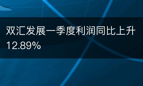 双汇发展一季度利润同比上升12.89%