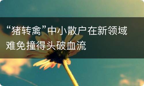 “猪转禽”中小散户在新领域难免撞得头破血流